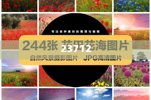新奥开什么今晚2024770743,数据资料游戏版_标准版7876