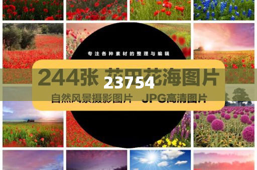 xinyu 第92页