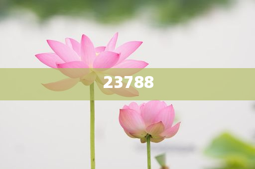 视频教程 第6页