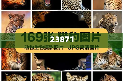 小牛最新款电动车2024,选数最良说最同_迎刃而解版GD676