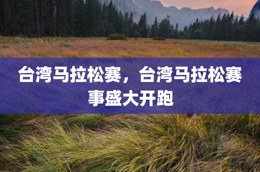 台湾马拉松赛，台湾马拉松赛事盛大开跑