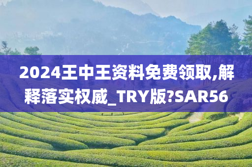 2024王中王资料免费领取,解释落实权威_TRY版?SAR56