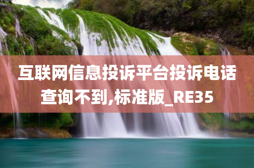 互联网信息投诉平台投诉电话查询不到,标准版_RE35