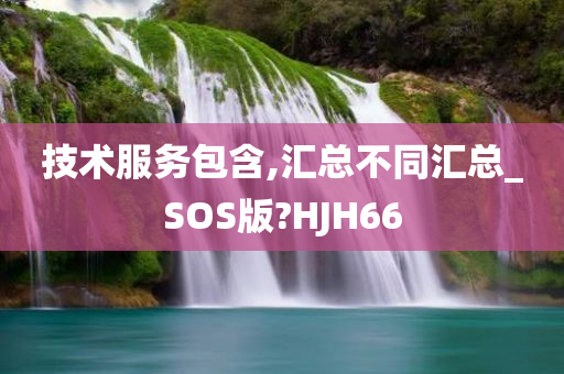 技术服务包含,汇总不同汇总_SOS版?HJH66