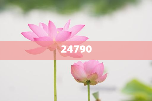 2021年宏观经济形势与政策导向,良莠研究不齐_EEF版?SE44565