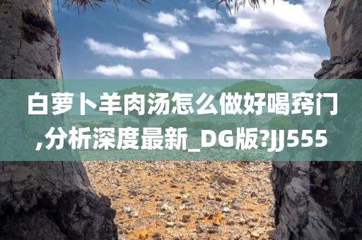 白萝卜羊肉汤怎么做好喝窍门,分析深度最新_DG版?JJ555