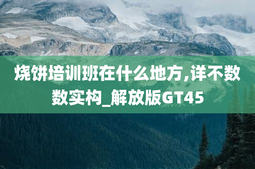 烧饼培训班在什么地方,详不数数实构_解放版GT45