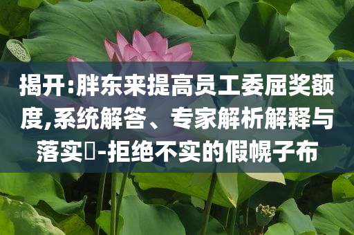 2024澳门一码一肖100准，澳门一码一肖预测，警惕违法犯罪风险