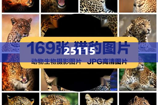 澳彩2024年开奖记录香港王中王,确深版资解品_标准版?GG756