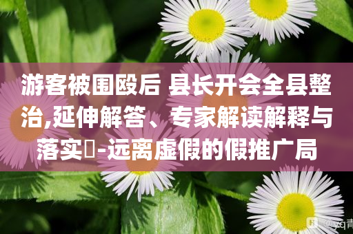 2024年澳彩综合全年资料大全，2024年澳彩综合全年资料大全，全年赛事概览与数据分析