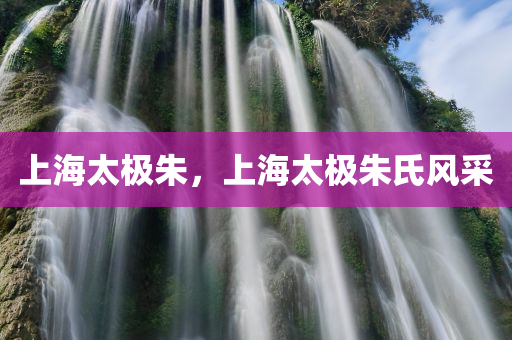 上海太极朱，上海太极朱氏风采