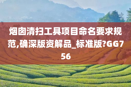 烟囱清扫工具项目命名要求规范,确深版资解品_标准版?GG756