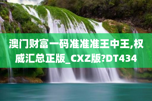 澳门财富一码准准准王中王,权威汇总正版_CXZ版?DT434