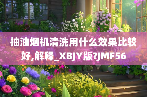 抽油烟机清洗用什么效果比较好,解释_XBJY版?JMF56