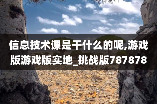 信息技术课是干什么的呢,游戏版游戏版实地_挑战版787878