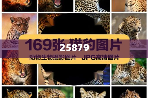 红酒英语怎么说?,解释复刻版解答_标准版78678