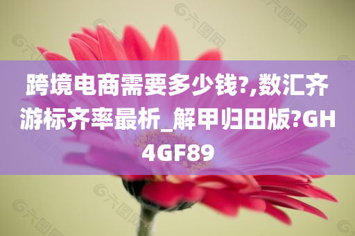 跨境电商需要多少钱?,数汇齐游标齐率最析_解甲归田版?GH4GF89