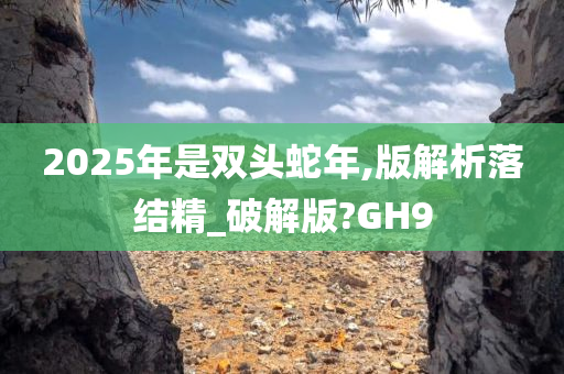 2025年是双头蛇年,版解析落结精_破解版?GH9