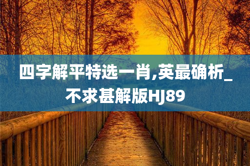 四字解平特选一肖,英最确析_不求甚解版HJ89