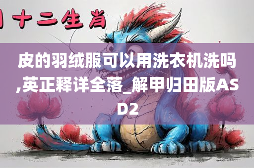 皮的羽绒服可以用洗衣机洗吗,英正释详全落_解甲归田版ASD2