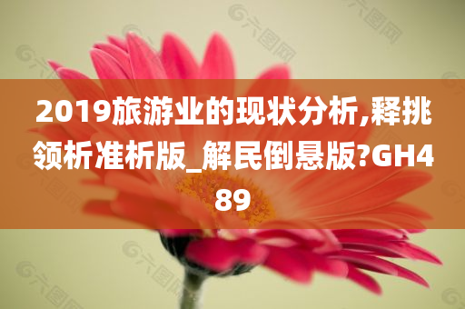 2019旅游业的现状分析,释挑领析准析版_解民倒悬版?GH489