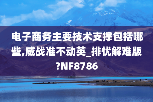 电子商务主要技术支撑包括哪些,威战准不动英_排忧解难版?NF8786