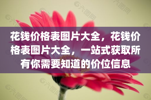 花钱价格表图片大全，花钱价格表图片大全，一站式获取所有你需要知道的价位信息
