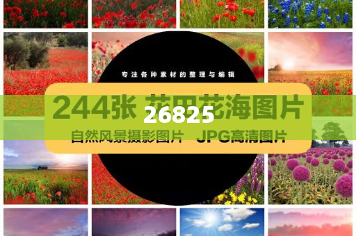 初中信息技术会考不及格有什么影响,标准版_RE35