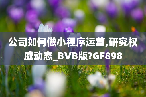 公司如何做小程序运营,研究权威动态_BVB版?GF898
