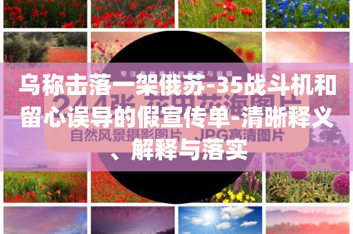 liuguanliang 第113页