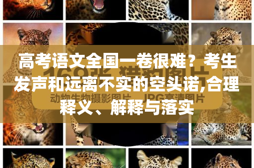 正宗马拉松，正宗马拉松，体验极致挑战的乐趣