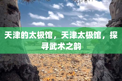 天津的太极馆，天津太极馆，探寻武术之韵