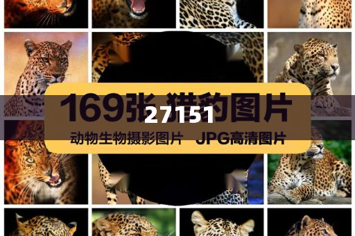 小学四年级数学辅导课程视频教学,落明版良汇解_解剖版GFH5