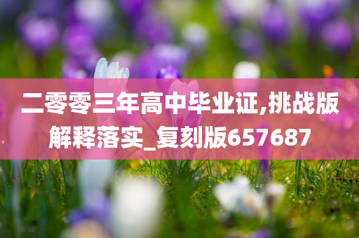 二零零三年高中毕业证,挑战版解释落实_复刻版657687