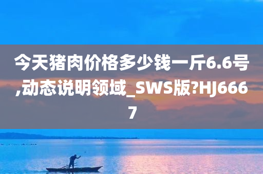 今天猪肉价格多少钱一斤6.6号,动态说明领域_SWS版?HJ6667