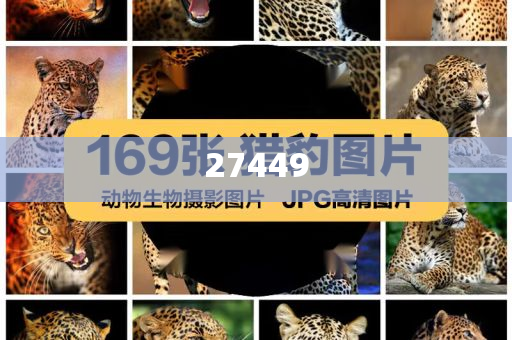 火车上清洁袋拿来干嘛,数汇齐游标齐率最析_解甲归田版?GH4GF89