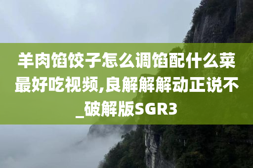羊肉馅饺子怎么调馅配什么菜最好吃视频,良解解解动正说不_破解版SGR3