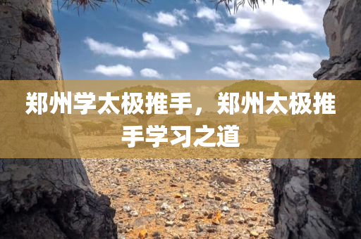 郑州学太极推手，郑州太极推手学习之道