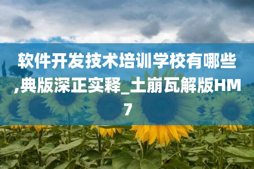 软件开发技术培训学校有哪些,典版深正实释_土崩瓦解版HM7