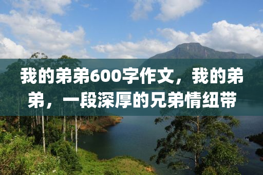 我的弟弟600字作文，我的弟弟，一段深厚的兄弟情纽带