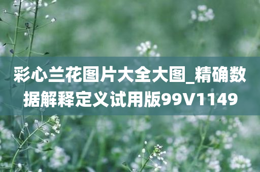 彩心兰花图片大全大图_精确数据解释定义试用版99V1149