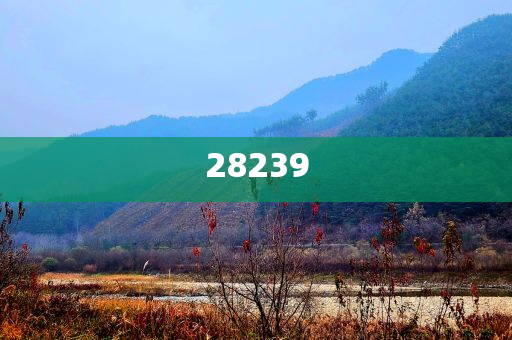 浙江卫视晚会2021,复刻版_EE533