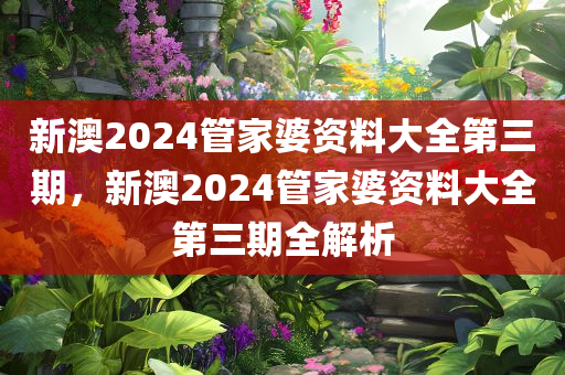新澳2024管家婆资料大全第三期，新澳2024管家婆资料大全第三期全解析