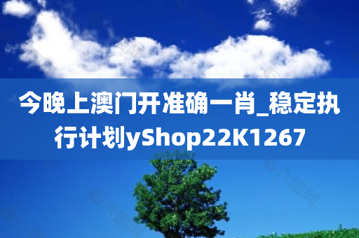 今晚上澳门开准确一肖_稳定执行计划yShop22K1267