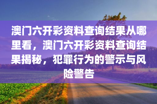 澳门六开彩资料查询结果从哪里看，澳门六开彩资料查询结果揭秘，犯罪行为的警示与风险警告