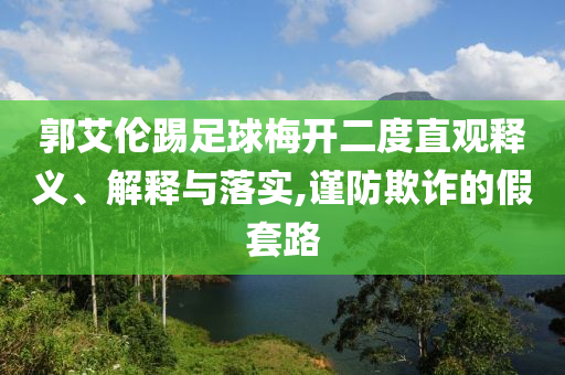新澳门正版资料大全精准，澳门正版资料大全揭秘，精准与否背后的法律问题