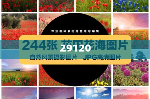 494949最快开奘今晚开什么89,数据正版经典_CCB版DFG56