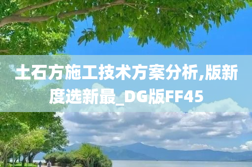 土石方施工技术方案分析,版新度选新最_DG版FF45