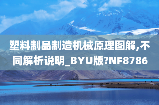 塑料制品制造机械原理图解,不同解析说明_BYU版?NF8786