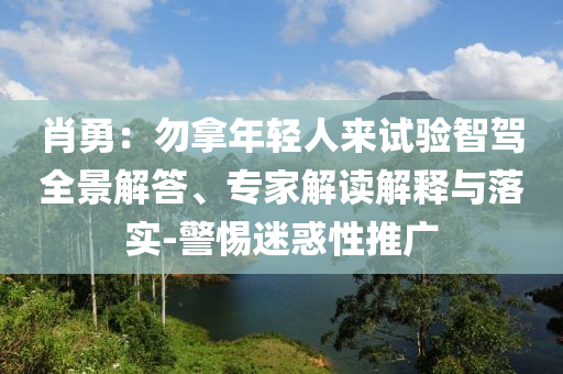 2024澳门精准正版资料73期，关于澳门精准正版资料的违法犯罪问题探讨